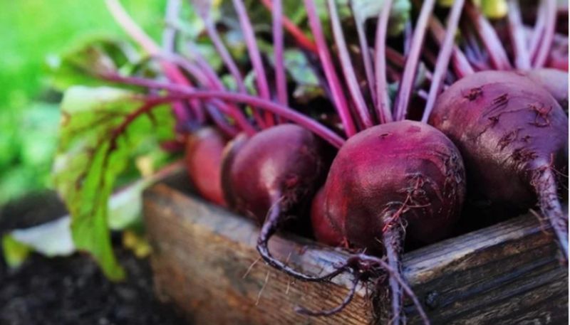 wat beetroot in these ways in winter season get benefits quickly