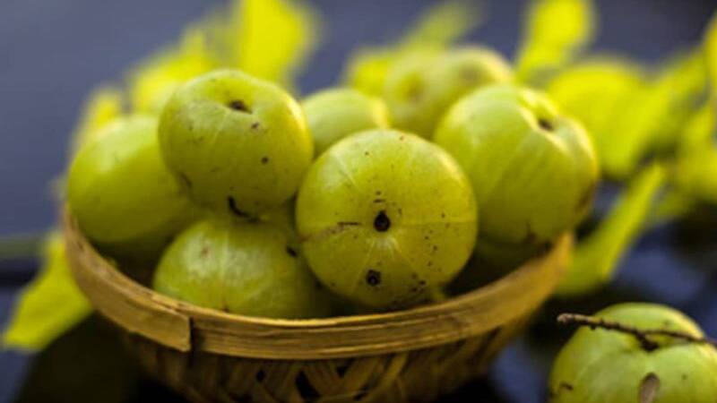 amla