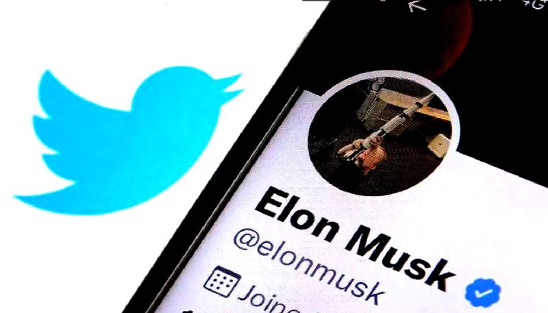 Twitter user explains why Musk decided to charge for blue tick accounts. Elon agrees