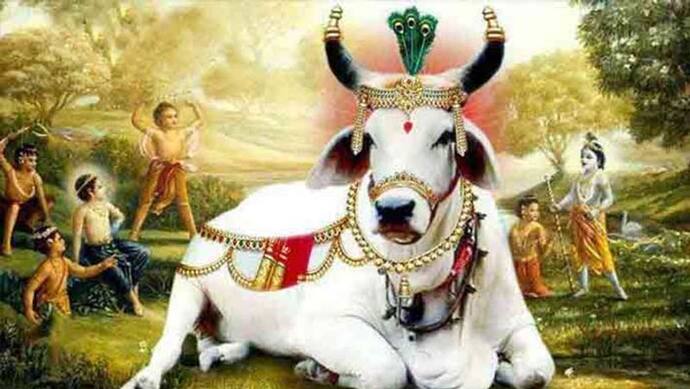 Gopashtami 2022: इन 2 कारणों से मनाया जाता है गोपाष्टमी पर्व, जानें पूजा विधि, मुहूर्त व उपाय