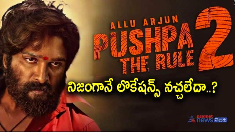 pushpa 2 shooting gets postponed again