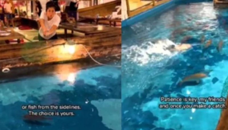 restaurant lets customers catch their own fish to cook