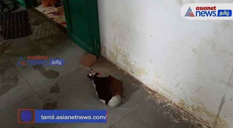 Firefighter injured in cylinder blast in Trichy