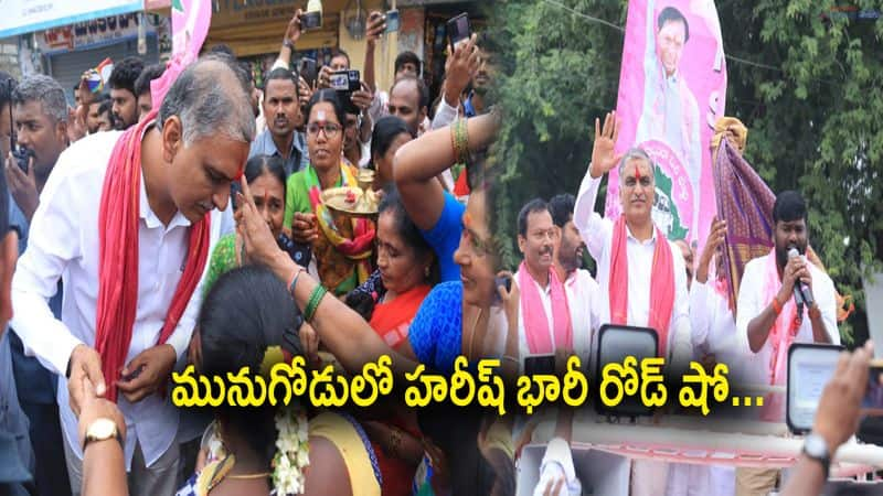 Minister Harish Rao Campaign in Munugode Bypoll 