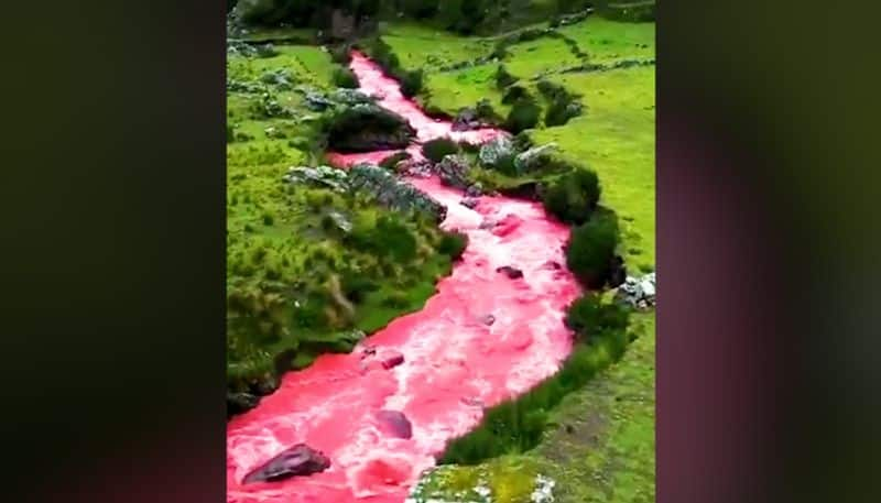 Watch Ever seen 'Red River' in Peru? Old video amazes viewers on social media-tgy