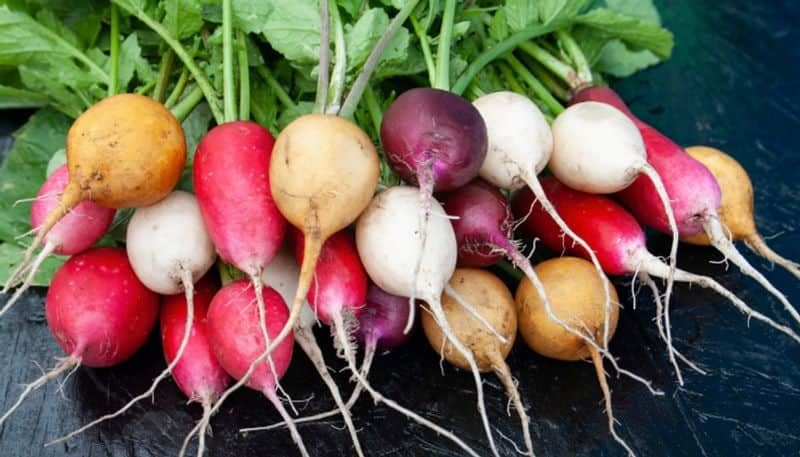 Many Health Benefits Of Radish