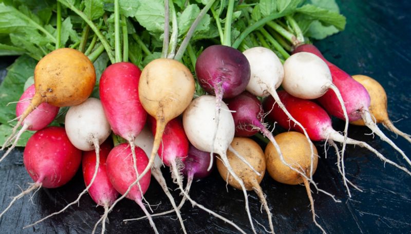 Many Health Benefits Of Radish