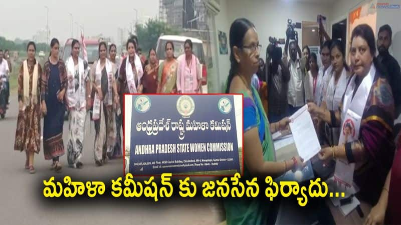 Janasena party Woman leaders complains AP Woman Commission 