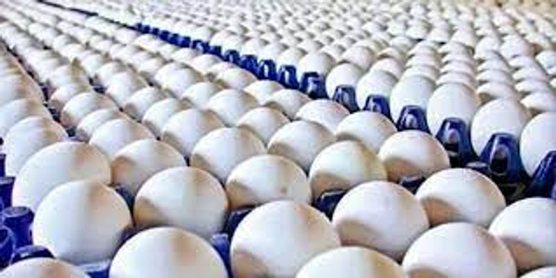 Bangladesh Receives 2.31 Lakh Eggs from India Amid Soaring Prices