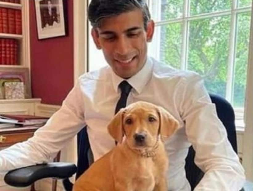 'Illegal immigrants will not be able to apply for asylum': UK PM Rishi Sunak