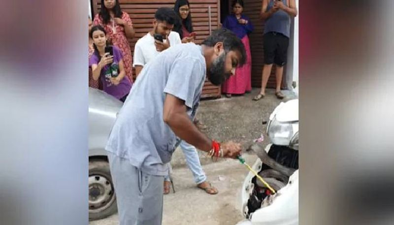 cobra spotted inside scooter 