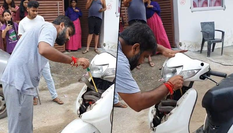 Man rescues cobra stuck inside scooter with bare hands; watch video - gps