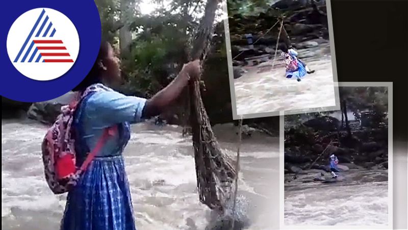 Student put their life risky to get education, crossing overflowed river without bridge akb