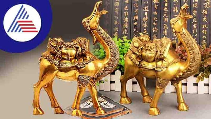 Keep Feng Shui Camel In House For Money