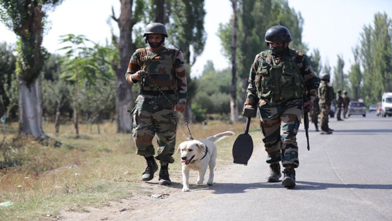 Terrorists abduct Territorial Army jawan from Jammu and Kashmir, search operations launched RMA