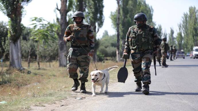 ये था सेना का पहला 'शहीद डॉग', कई जवानों को बचाने में ऐसे दी थी शहादत