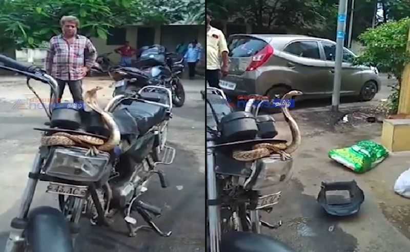 big cobra on a bike at erode and video goes viral