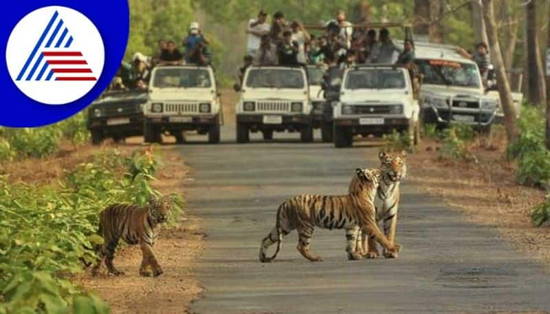 Opposition to construction of elevated flyover in bannerughatta national park rav