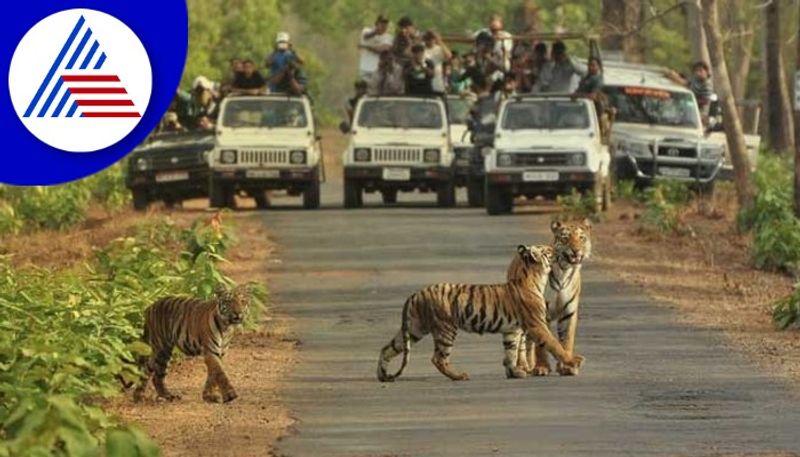 Opposition to construction of elevated flyover in bannerughatta national park rav