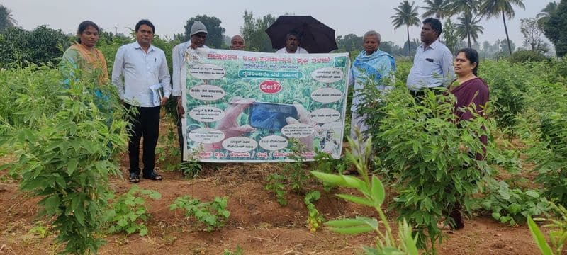 Chikkaballapur Got  first place for crop survey in Karnataka snr