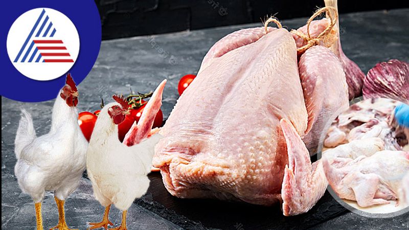 Everything You Need To Know About Buying Chicken From The Market Vin