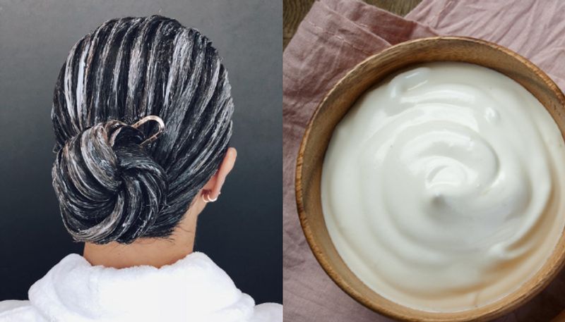 curd hair masks to cure dandruff