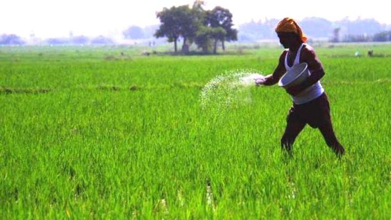 Telangana saw 81.6% increase in cultivation area in 10 years agriculture minister S Niranjan Reddy RMA