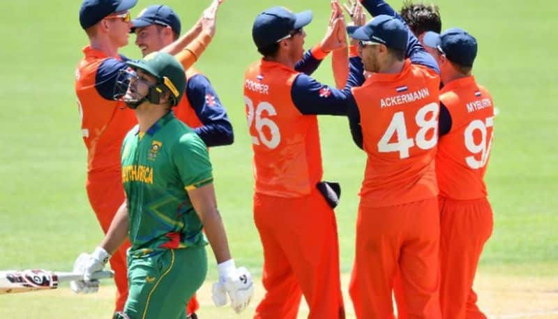 T20 World cup 2022: match fixing allegations on South Africa after strange defeat against netherlands