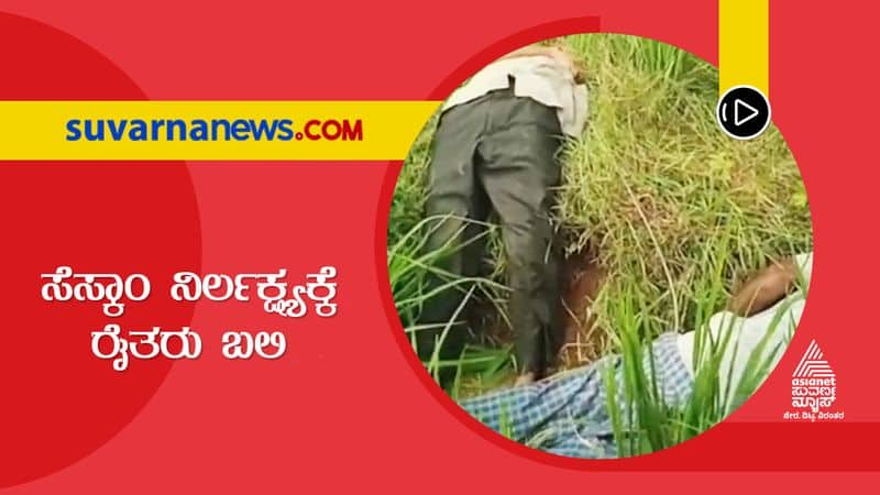 three farmers died in mysore due to sescom negligence suh