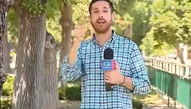 Parrot Steals Chilean Reporters Earphone During report About Theft