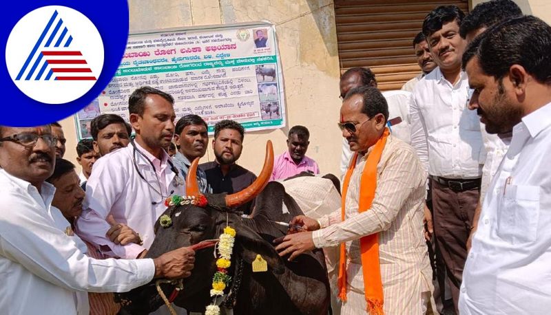 Minister Prabhu Chavan launched foot and mouth disease vaccination campaign at bidar gvd