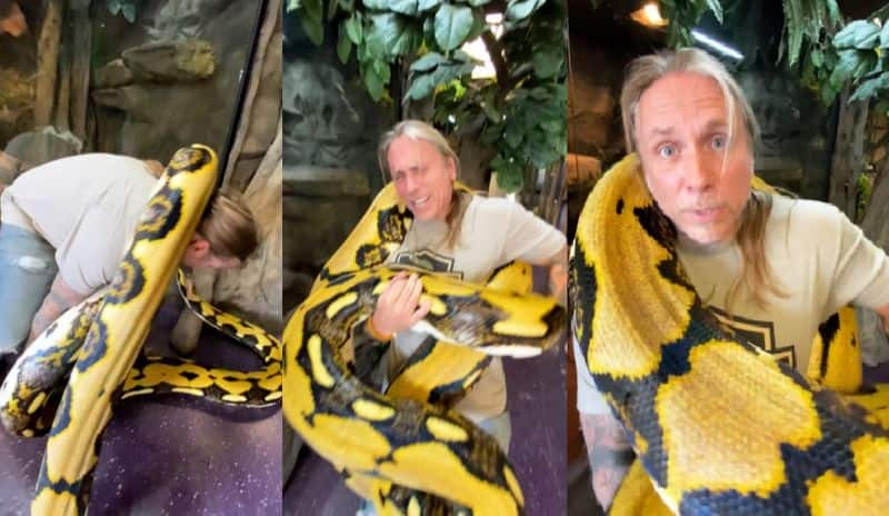 python strangles a man and video gone viral