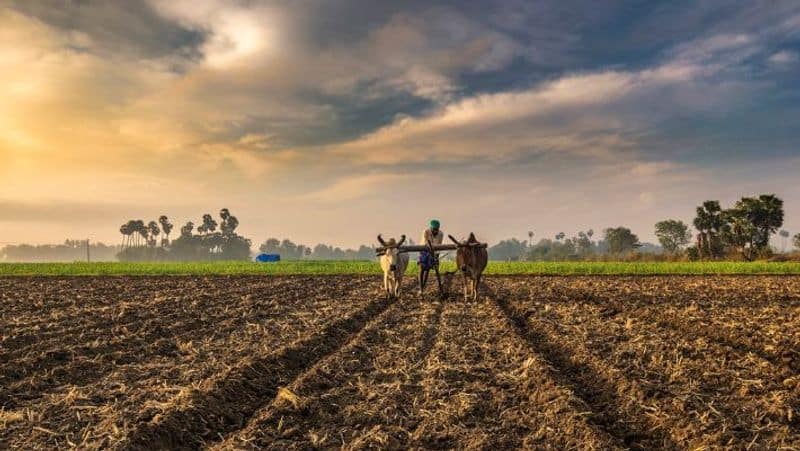 Sikh brothers donate 12 acres of land worth Rs 5 crore to needy farmers