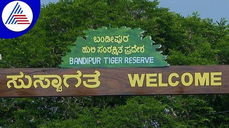 Bandipur Tiger Reserve