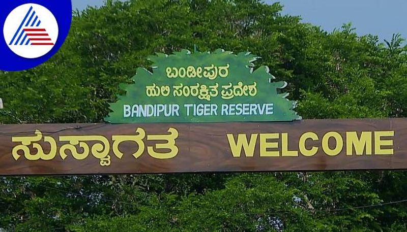 Bandipur Tiger Reserve