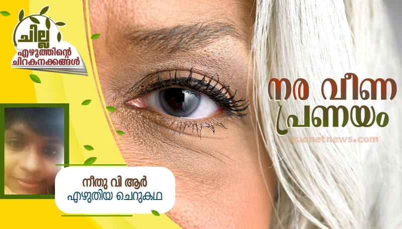 chilla malayalam Short Story by Neethu VR