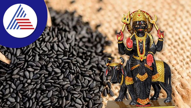 Black sesame has special significance to get rid of shani