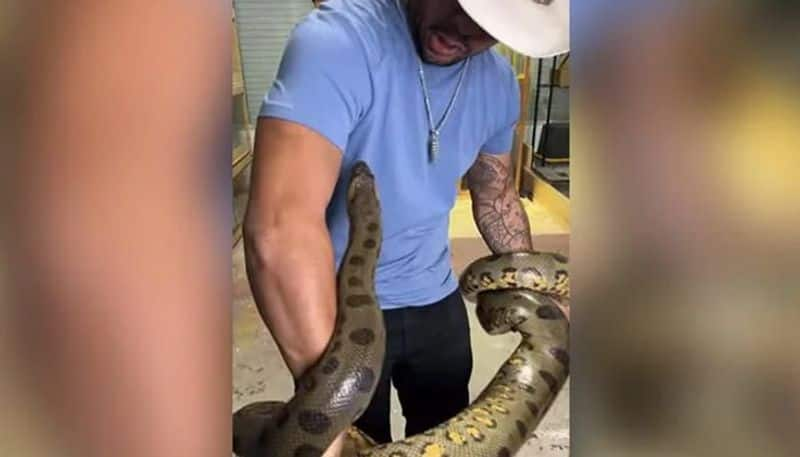 man playing with green anaconda and it bites him 