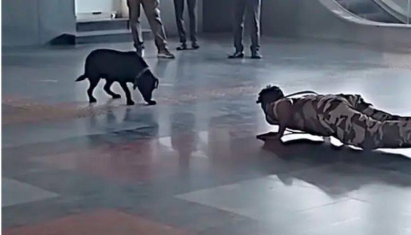 Dog Imitates CISF Jawans Workout 