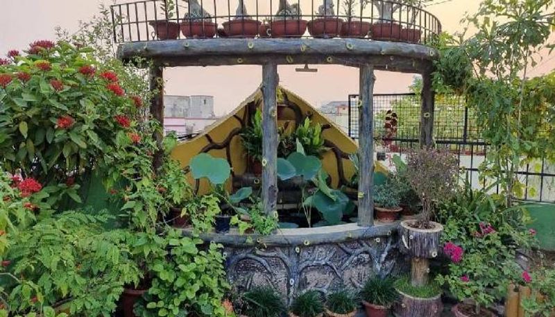 terrace garden of satish and vibha couple 