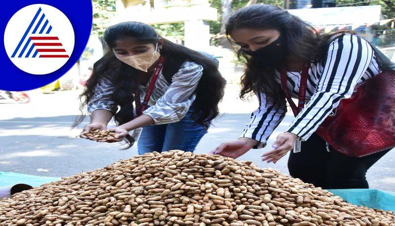 Teppotsava For Kadalekai Parishe In Bengaluru gvd