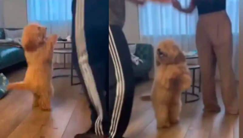 Pet Dog Dances To  Bolo Ta Ra Ra