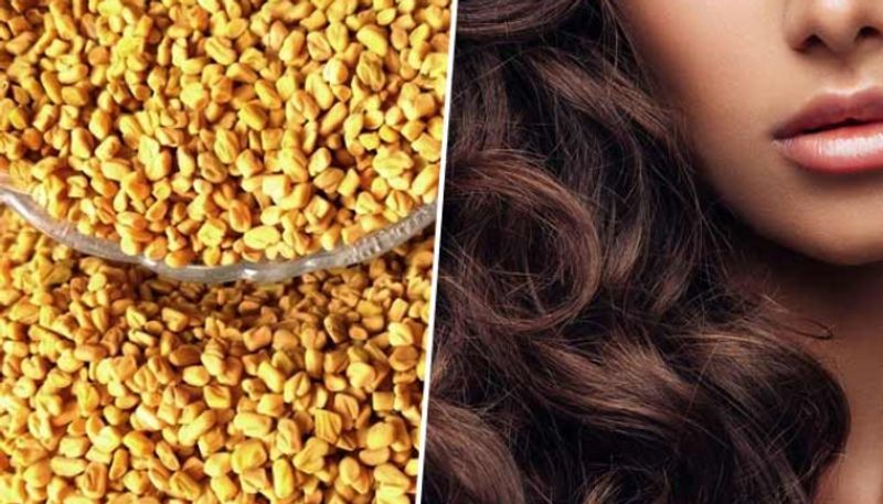 seven fenugreek hair masks to get rid of hair fall