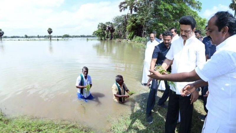 Annamalai expressed hope that 25 BJP MPs will be elected from Tamil Nadu