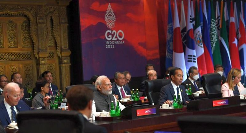 We must return to the path of ceasefire in Ukraine: PM Modi in G20 Summit.