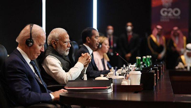 PM Modi tells G20 on Russia-Ukraine: 'Our turn to take path of peace'