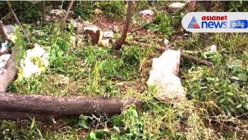 Sandalwood tree stolen from jail premises in Coimbatore!