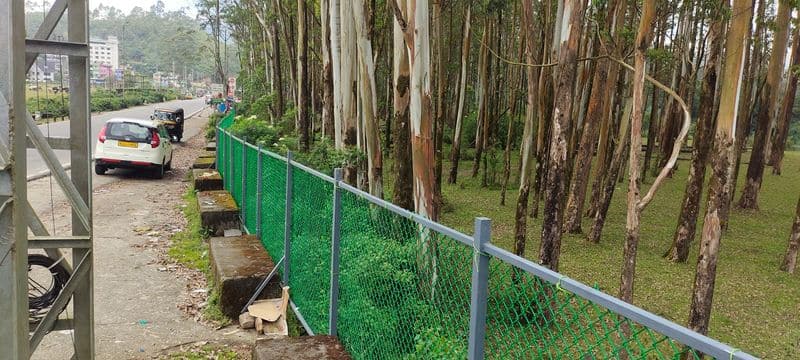 KSRTC officials have fenced munnar Grandis forest