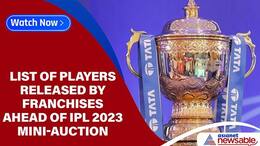 IPL 2023 Auction: Complete list of players released by franchises, purse remaining-ayh