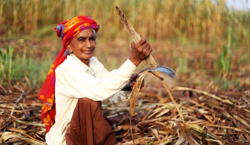 Millet why this Indian superfood is a smart choice for the world